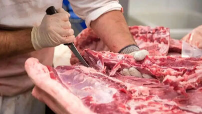 عرضه گوشت اسب و الاغ در بازار نه مجوز دارد نه صحت