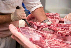 عرضه گوشت اسب و الاغ در بازار نه مجوز دارد نه صحت