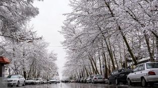 پیش‌بینی هواشناسی مشهد و خراسان رضوی امروز (۲۰ اسفند ۱۴۰۴) | ماندگاری هوای سرد و یخبندان تا اوایل وقت جمعه