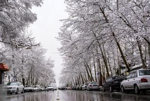 پیش‌بینی هواشناسی مشهد و خراسان رضوی امروز (۲۰ اسفند ۱۴۰۴) | ماندگاری هوای سرد و یخبندان تا اوایل وقت جمعه