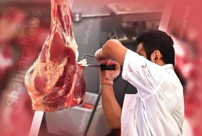 مرغ و گوشت امروز در مشهد کیلویی چند است؟ (۸ اردیبهشت ۱۴۰۵)